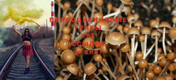 ешки Белокуриха